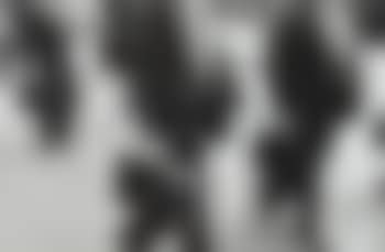 New York City (preview)