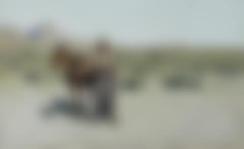 Cheyenne Scout (preview)