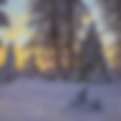 Winter sunset (preview)