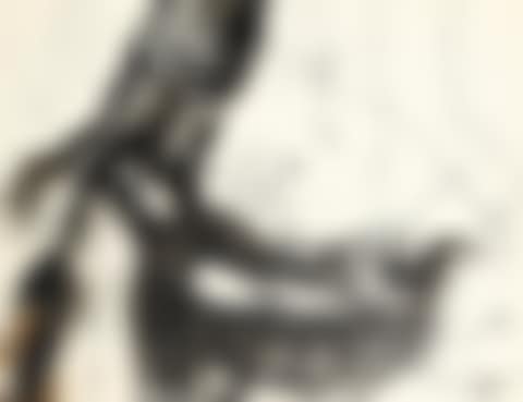 A double-sided study for 'Hide-and-Seek' (preview)