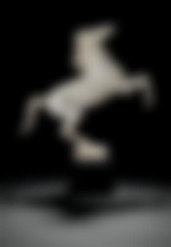 Cheval cabré sur terrasse (preview)