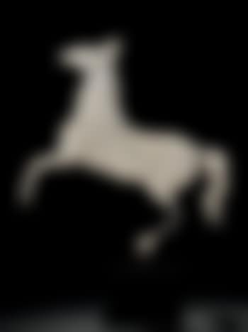 Cheval cabré (preview)