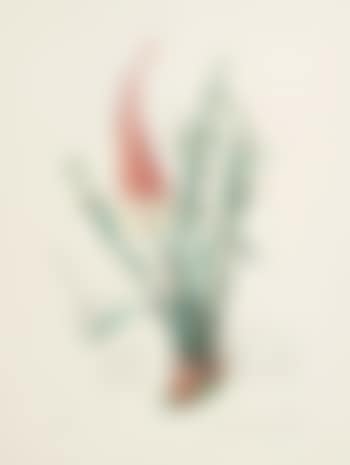 Fleurs surréalistes (preview)