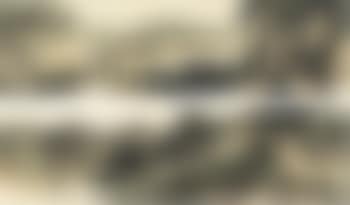 Trees in the mist (preview)