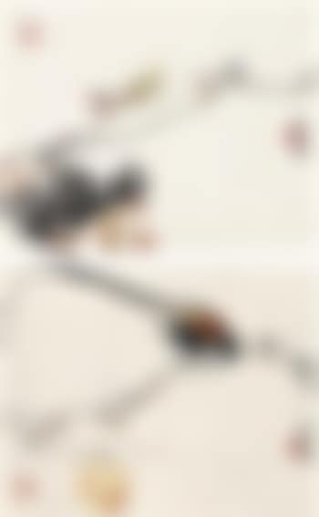 Flower and bird (preview)