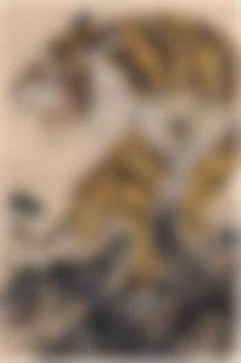 Tiger (preview)