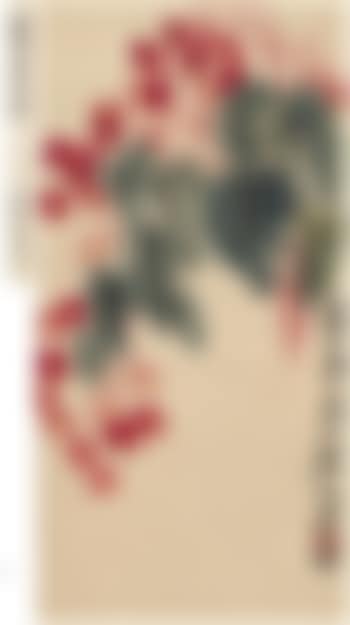 Begonia (preview)