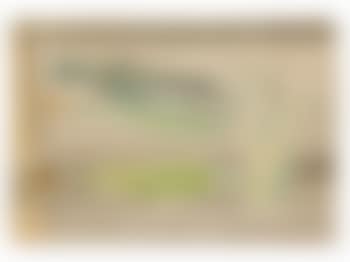 Still Life with Corncob (preview)