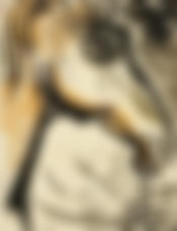 Testa di cavallo (preview)