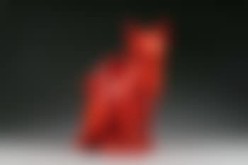 Cloned red Cat with Petbottle ,
2011 (preview)