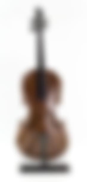 Violon coupé III (preview)
