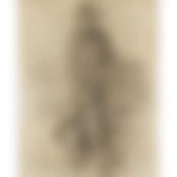 Un Charbonnier ,
1882 (preview)