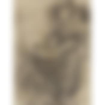 Laveuse ,
1880 (preview)