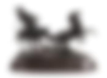 Capture of a Wild Kirghiz Horse (preview)