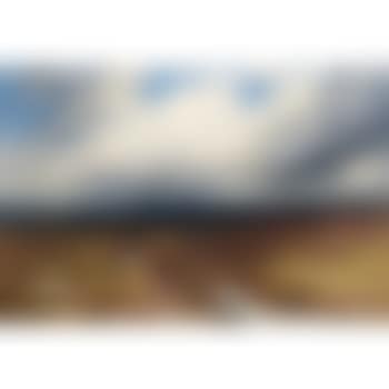 Drover's Road ,
1893 (preview)