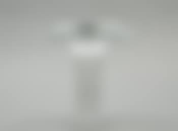 Mushroom, model 3552 ,
1955 (preview)