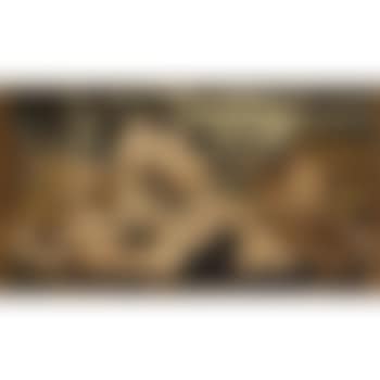 [Untitled] (preview)