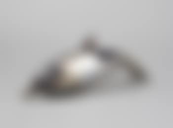 Dolphin (preview)
