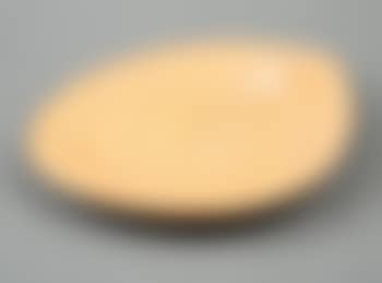 Dish (preview)