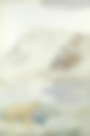 A polar bear and her cub, Spitsbergen (preview)