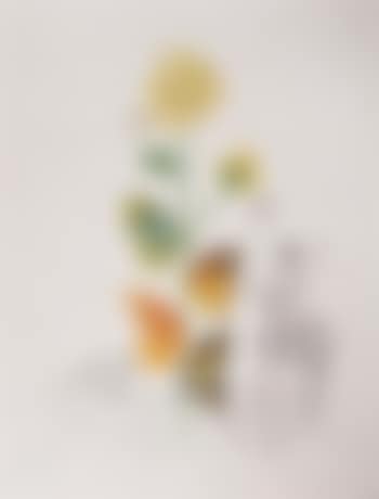 Flordali, Rose (Rose papillo) (from Flora Dalinae) (preview)