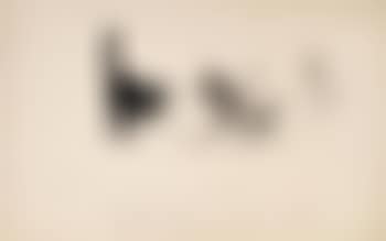 A Bad Cat (preview)
