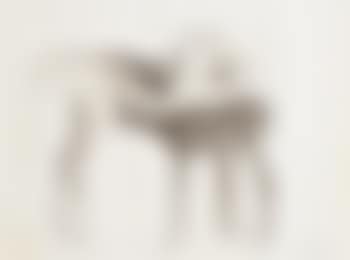 Mare and Foal (preview)