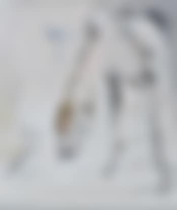 Great dane (preview)