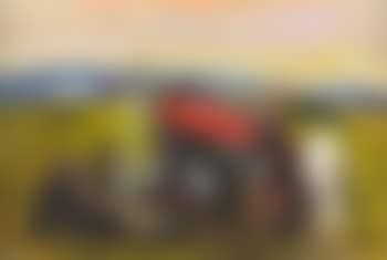 Camp fire by the red turf cart (preview)