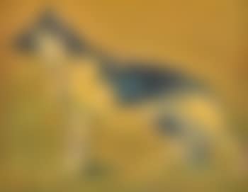 German shepherd (preview)