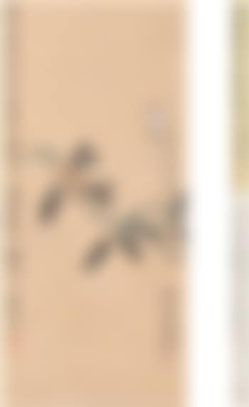 [Untitled] (preview)