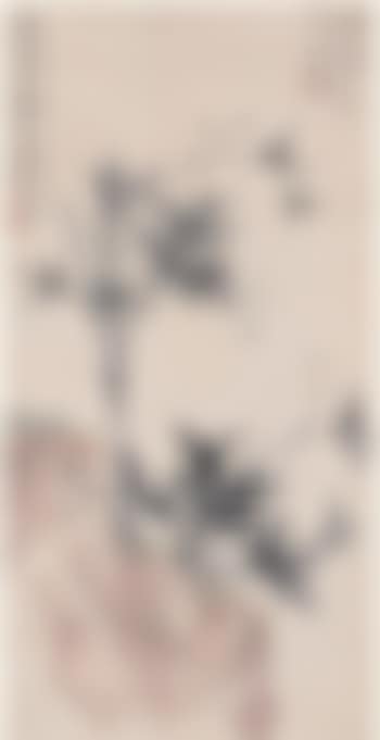 [Untitled] (preview)