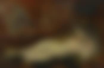 Liegender Akt (preview)