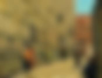 The Western Wall (preview)