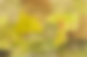 Ohne Titel (preview)