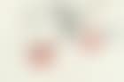 Persimmons (preview)