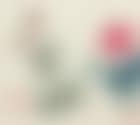 Roses (preview)