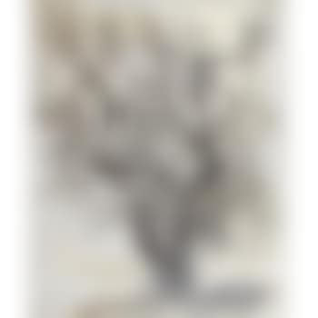 Albero di ulivo (preview)