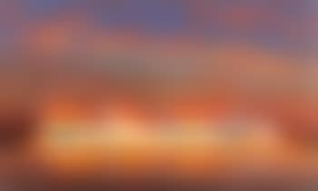 Evening Embers and Flowers (preview)