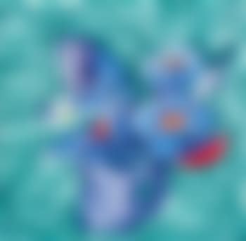 Blue Bouquet (preview)