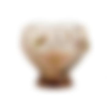 Vaso (preview)