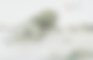 A Finely Plaque (preview)
