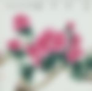 A Plaque (preview)