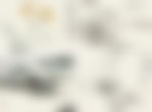 Bamboos, Landscape (preview)