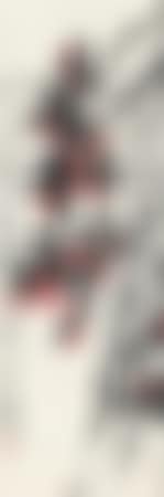 Lychee (preview)