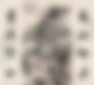 Landscape (preview)