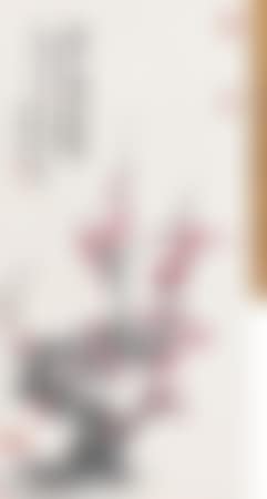 Plum Blossoms (preview)