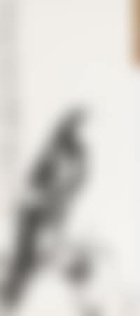 Eagle (preview)