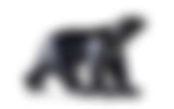 Ours blanc (preview)