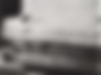 Elvis, last picture (preview)